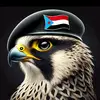amer khaled - @amer.khaled48 - TikTok