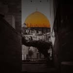 Amer Khalifa - @amerkhalifa65 - Instagram