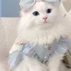 hala 😊 - @amera.khater - TikTok