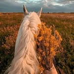 Zahra Amer Khater - @zahra040905 - Instagram