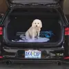 Amer Kovacevic858 - @amerkovacevic858 - TikTok