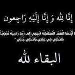 Amer Mabrouk - @amermabrouk24 - Instagram
