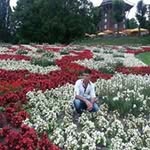 Amer Mahmud - @mahmud.amer - Instagram