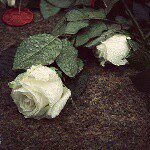 amer_mansoori - @amer_mansoori1388 - Instagram