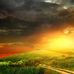 Amer Nabil - Facebook