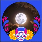 Amir Nahar - Facebook