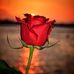 Amer Najm - Facebook