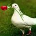 Amer Najm - Facebook