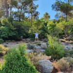 Amer Odeh - @odehamer - Instagram