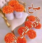 Amer Omar - Facebook