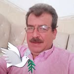 Amer Saber - @amersabir127 - Instagram