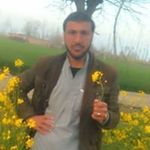 Amer Said - @amer.said - Instagram
