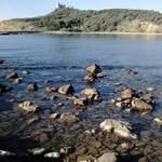 Amer Saidi - @amersaidi - Instagram