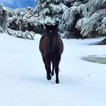Àmèr Şìef - @amersaidisief - Instagram