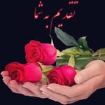 Amer Salam - @amer.salam.908 - Instagram