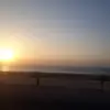 Amer Sheikh - @amersheikh06 - TikTok