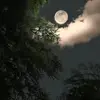 Amer Suleiman - @amer.suleiman - TikTok