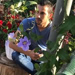 Amer Taha - @amer.apu.rbah - Instagram