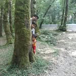 amer.taha - @amer.taha2 - Instagram