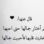Amer Taleb - @amer.taleb.585 - Instagram