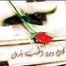 Amer Zubi - Facebook