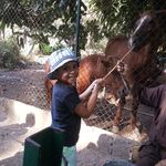 Amera Abdo - @amera.abdo83 - Instagram