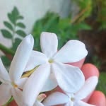 Amera Amera Al - @ameraameraal - Instagram