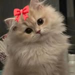 Amera Haider - @ameera_16h - Instagram