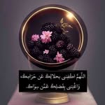 Amera Hasan - @amirahassanfth - Instagram