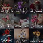 Amera Hasan - @amerahasan934 - Instagram