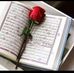 Amera Hasan - Facebook