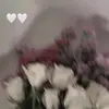 amera___05 - @amera_hussein_ - TikTok