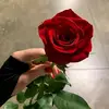 Amera Hussein - @amera.hussein3 - TikTok