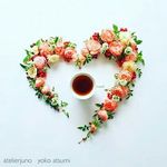 Amera Muhammad - @muhammadamera - Instagram