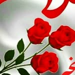 امیررضا - @ameraraza12 - Instagram