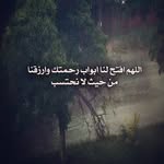 Amera Salam - @salamamera - Instagram