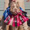 American Bully Crew - @americanbullycrew - TikTok