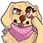 @amethyst.paws - Instagram