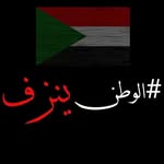 Amgad Maher - @amgad__maher - Instagram