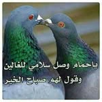 Amgad Maher - @amgad5725 - Instagram