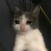 khò@@ - @amiahn157 - TikTok