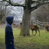 Ami Das 🇬🇧🇧🇩 - @ami.das - TikTok