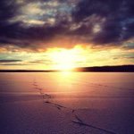 Amy Downing - @akacd - Instagram