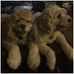 Ami Evans - Facebook