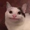 AMI Evans - @ff.holasoyami - TikTok