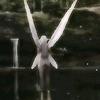 _fair_ami_ - @_fair_ami_ - TikTok