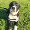 Amie Leigh Gibson - @amie.leigh.gibson - TikTok