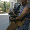 Amiros - @amiros.gilad - TikTok