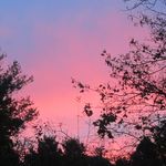 Amy Goodwin - @amy.goodwin.735 - Instagram