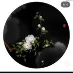 amit gupta - @amigupta2181 - Instagram